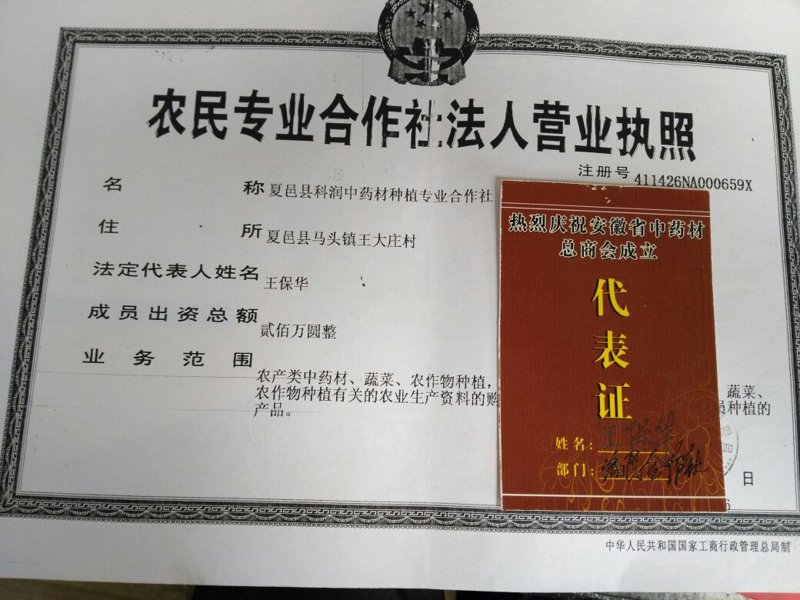 商丘商贸公司的未来发展之路
